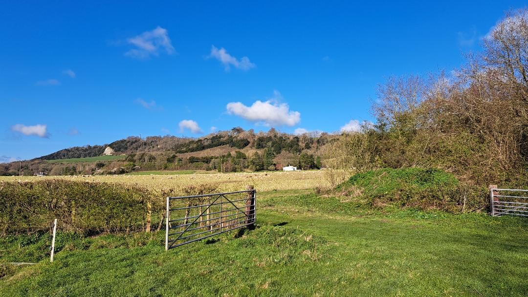 Towards the West and North Downs